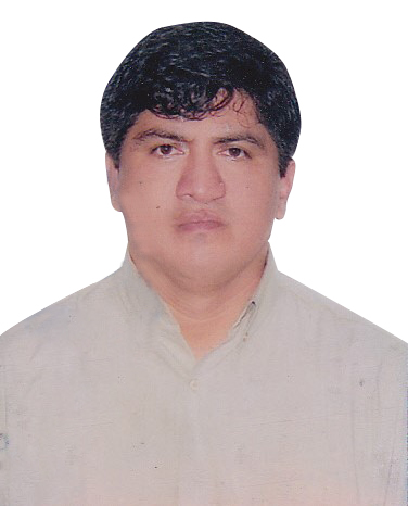 DOCENTE ROBERTO CARLOS CASTILLO VELARDE DOCENTE ROBERTO CARLOS CASTILLO VELARDE